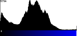Blue Histogram