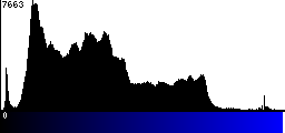 Blue Histogram