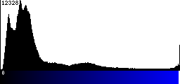 Blue Histogram