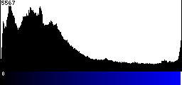 Blue Histogram