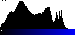 Blue Histogram