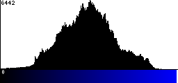 Blue Histogram