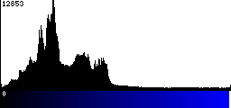 Blue Histogram