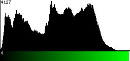 Green Histogram