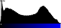 Blue Histogram