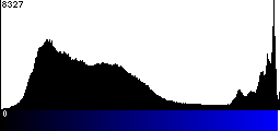 Blue Histogram
