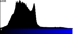 Blue Histogram