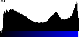 Blue Histogram