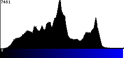 Blue Histogram