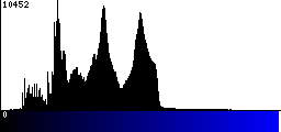 Blue Histogram
