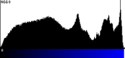 Blue Histogram