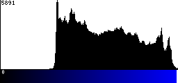 Blue Histogram