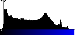 Blue Histogram