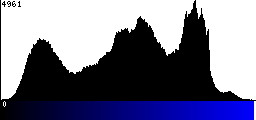Blue Histogram