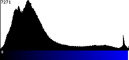 Blue Histogram