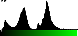 Green Histogram