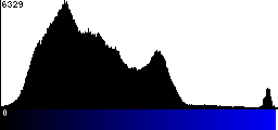 Blue Histogram