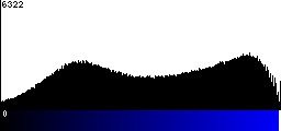 Blue Histogram