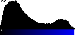 Blue Histogram