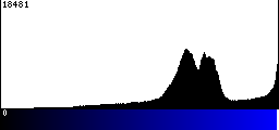 Blue Histogram
