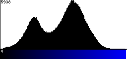 Blue Histogram