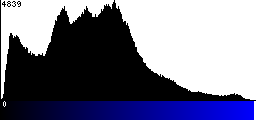 Blue Histogram