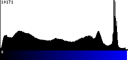 Blue Histogram