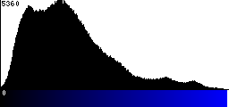 Blue Histogram