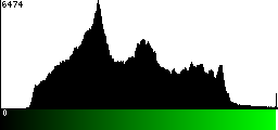 Green Histogram