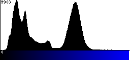 Blue Histogram