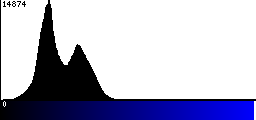 Blue Histogram