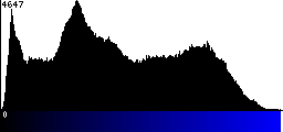 Blue Histogram