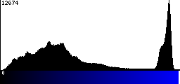 Blue Histogram