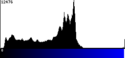 Blue Histogram