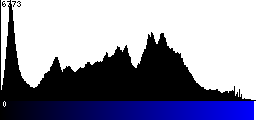 Blue Histogram