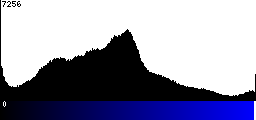 Blue Histogram