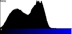 Blue Histogram
