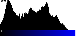 Blue Histogram