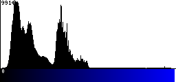 Blue Histogram