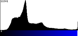 Blue Histogram