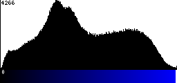 Blue Histogram