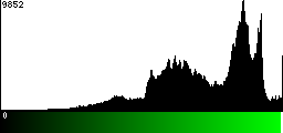 Green Histogram