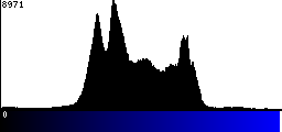 Blue Histogram