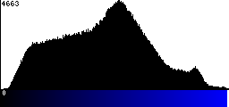 Blue Histogram