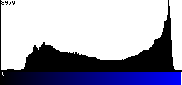 Blue Histogram