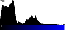 Blue Histogram