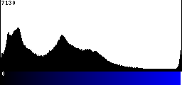 Blue Histogram