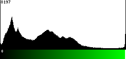 Green Histogram