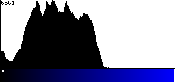 Blue Histogram