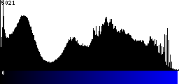 Blue Histogram